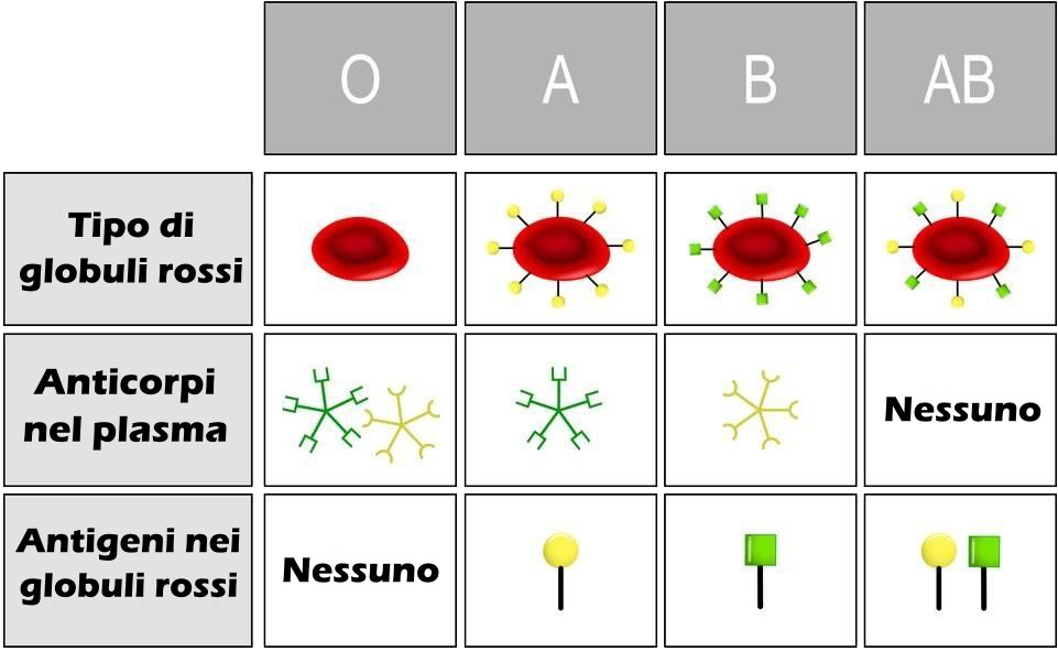 Senza titolo-1